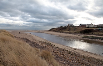 river mouth