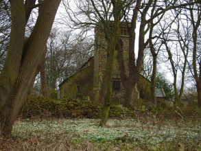 carpet of Snowdrops_edited-1