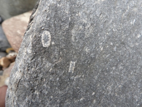 Crinoidal limestone pebble (A)