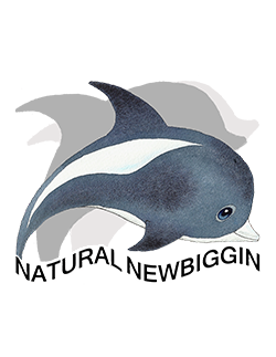 The Logo from Natural Newbiggin 