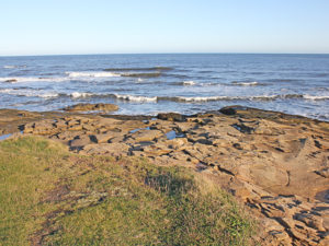 The coastline at Newbiggin in Northumberland